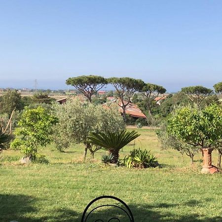 Appartamento In Villa Di Judighes เชร์เวเตรี ภายนอก รูปภาพ