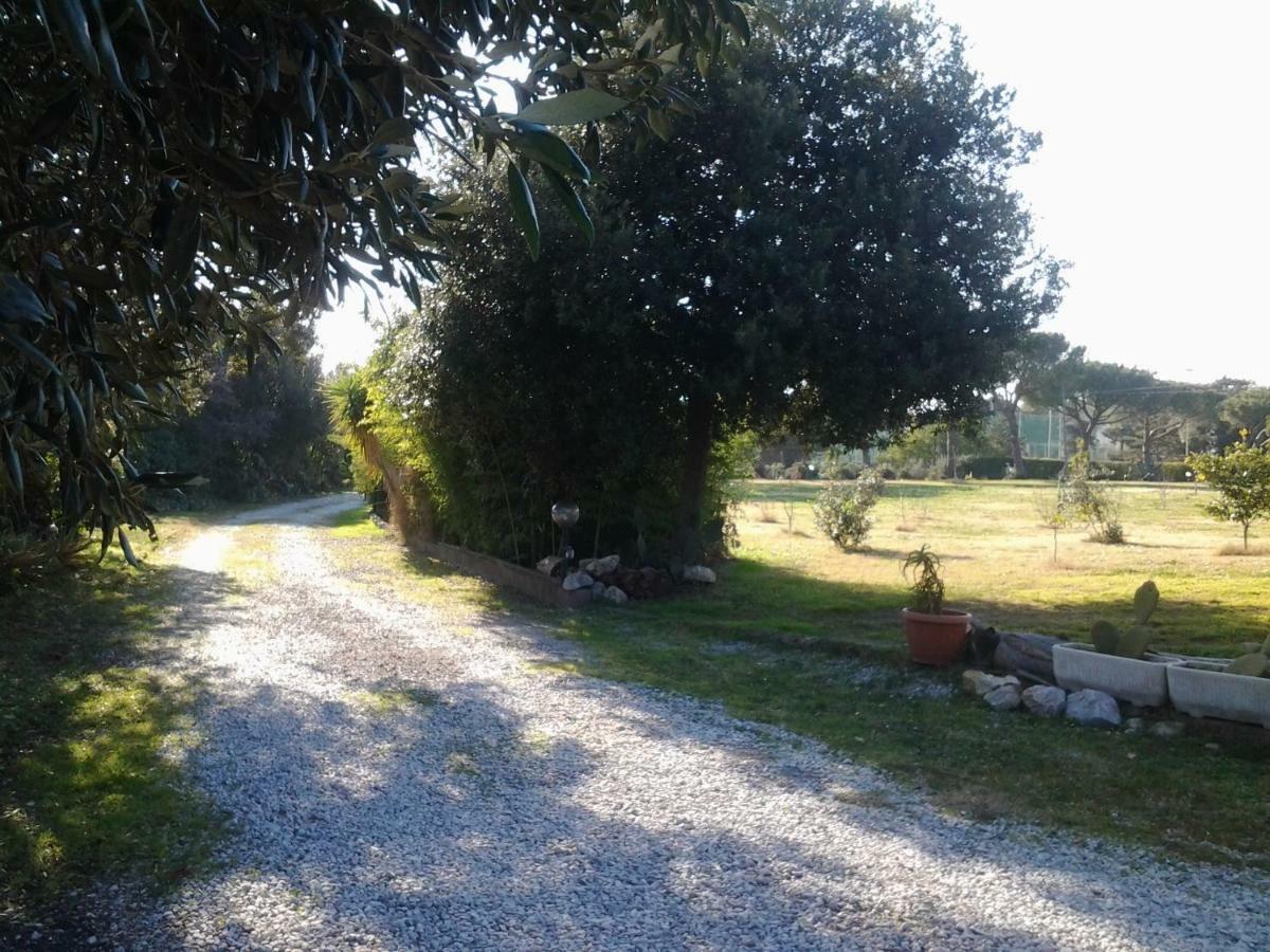 Appartamento In Villa Di Judighes เชร์เวเตรี ภายนอก รูปภาพ